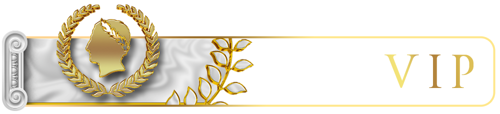 VIP Mobile